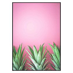 Plakát Imagioo Three Pineapples, 40 x 30 cm