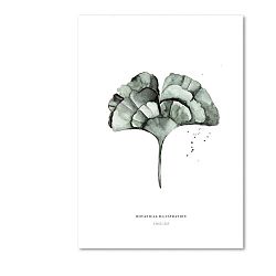 Plakát Leo La Douce Ginko Leaf, 21 x 29,7 cm