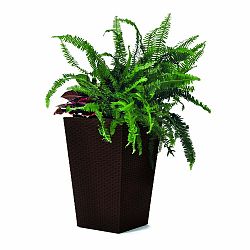 Plastový obal na květináč Rattan – Keter