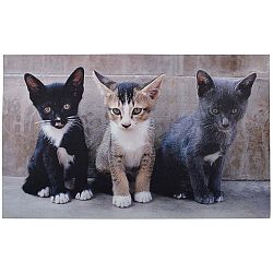 Podložka pod rohožku Esschert Design Kitten