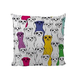 Polštář Group Of Meerkats, 50x50 cm