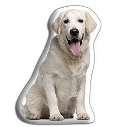 Polštářek Adorable Cushions Zlatý retrívr