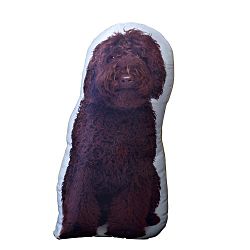 Polštářek s potiskem Cockapoo Adorable Cushions