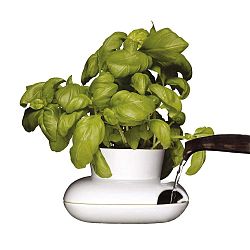 Porcelánový květináč na bylinky Sagaform Herb