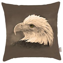 Povlak na polštář Apolena Eagle, 43 x 43 cm