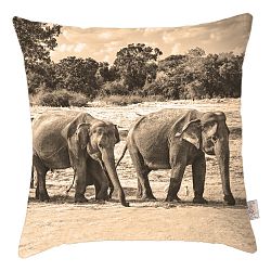 Povlak na polštář Apolena Elephants, 43 x 43 cm