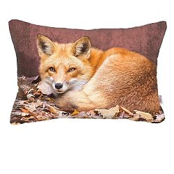 Povlak na polštář Apolena Foxina, 50 x 31 cm