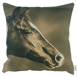 Povlak na polštář Apolena Horse, 43 x 43 cm