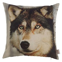 Povlak na polštář Apolena Husky, 43 x 43 cm