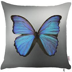 Povlak na polštář Apolena Mariposa, 43 x 43 cm