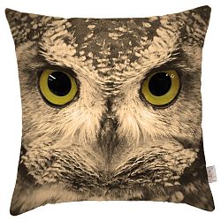 Povlak na polštář Apolena Owl, 43 x 43 cm