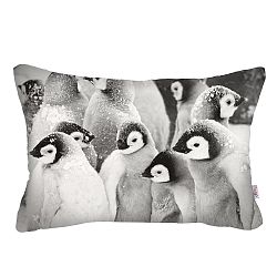 Povlak na polštář Apolena Pinguins, 50 x 31 cm