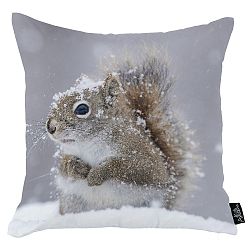 Povlak na polštář Apolena Squirrel, 45 x 45 cm