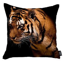 Povlak na polštář Apolena Tiger, 45 x 45 cm