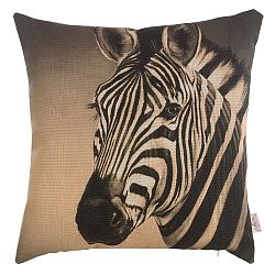 Povlak na polštář Apolena Zebra, 43 x 43 cm