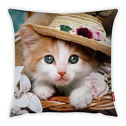 Povlak na polštář Vitaus Cute Kitten, 43 x 43 cm