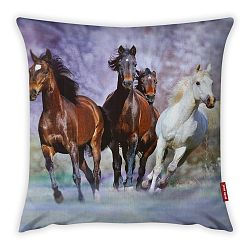 Povlak na polštář Vitaus Horses, 43 x 43 cm