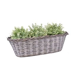 Proutěný koš na osázení Ego Dekor, délka 53 cm