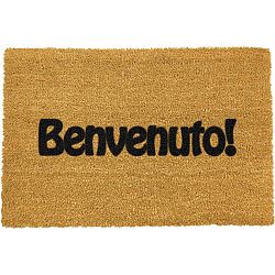 Rohožka Artsy Doormats Benvenuto, 40 x 60 cm