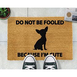 Rohožka Artsy Doormats Chihuahua, 40  x  60 cm