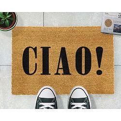 Rohožka Artsy Doormats Ciao, 40 x 60 cm
