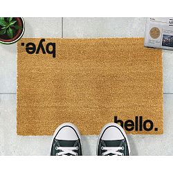 Rohožka Artsy Doormats Hello, Bye, 40 x 60 cm