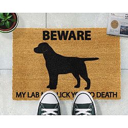 Rohožka Artsy Doormats Labrador, 40 x 60 cm