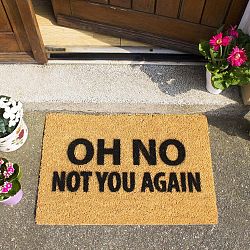 Rohožka Artsy Doormats Not You Again, 40 x 60 cm