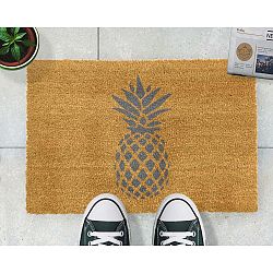 Rohožka Artsy Doormats Pineapple, 40 x 60 cm