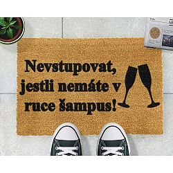 Rohožka Artsy Doormats Šampus, 40 x 60 cm