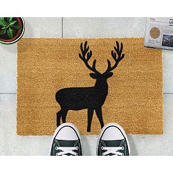 Rohožka Artsy Doormats Stag, 40 x 60 cm