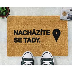 Rohožka Artsy Doormats Tady, 40  x  60 cm