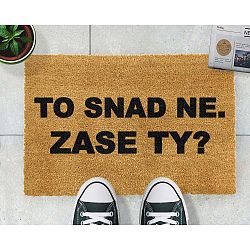 Rohožka Artsy Doormats Zase ty?, 40 x 60 cm