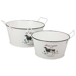 Sada 2 bílých kovových nádob Kash Cow