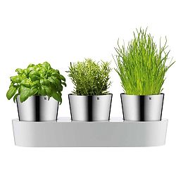 Sada 3 nerezových květináčů na bylinky WMF Herb