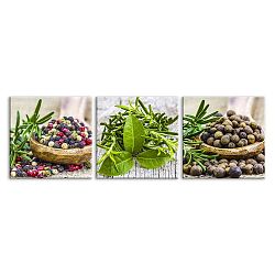 Sada 3 obrazů Styler Glasspik Set Spices Dos