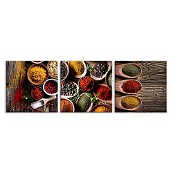 Sada 3 obrazů Styler Glasspik Set Spices Tres