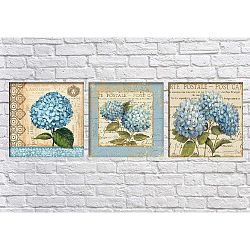 Sada 3 obrazů Tablo Center Hydrangea Blue