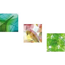 Sada 3 obrazů Wall Framework Tropical Leafes