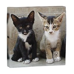 Sada 3-vrstvých ubrousků Esschert Design Kitty