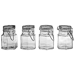 Sada 4 skleněných kořenek Premier Housewares