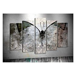 Sada 5 obrazů Tablo Center Butterfly Wings