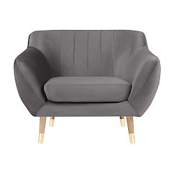 Šedé sametové křeslo Mazzini Sofas Benito