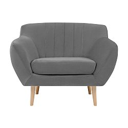Šedé sametové křeslo Mazzini Sofas Sardaigne