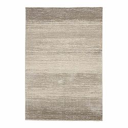 Šedo-béžový koberec 200x290 cm Geneva – Think Rugs