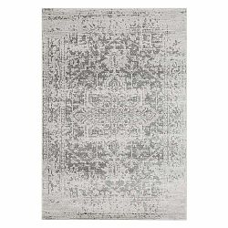 Šedý koberec 160x230 cm Nova – Asiatic Carpets