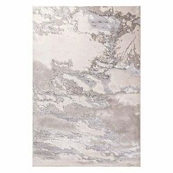 Šedý koberec 230x160 cm Aurora - Asiatic Carpets