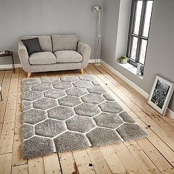 Šedý koberec Think Rugs Noble House, 120 x 170 cm