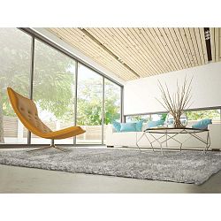 Šedý koberec Universal Aloe Liso, 200 x 290 cm