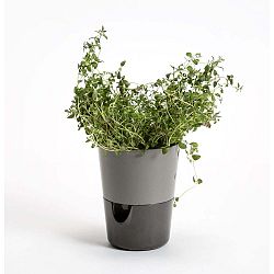 Šedý samozavlažovací květináč Plastia Rosmarin